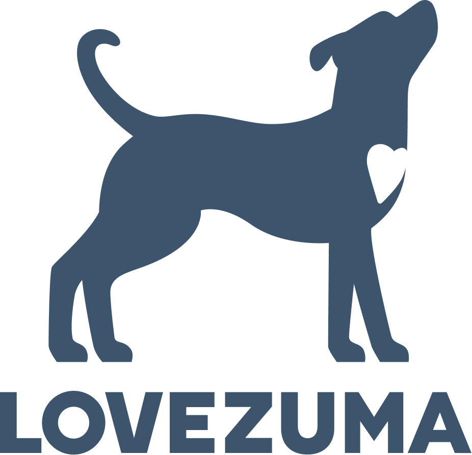 LOVE ZUMA